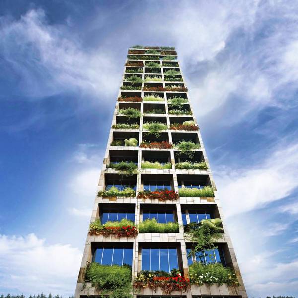 Images for Elevation of JRLE The Amazing