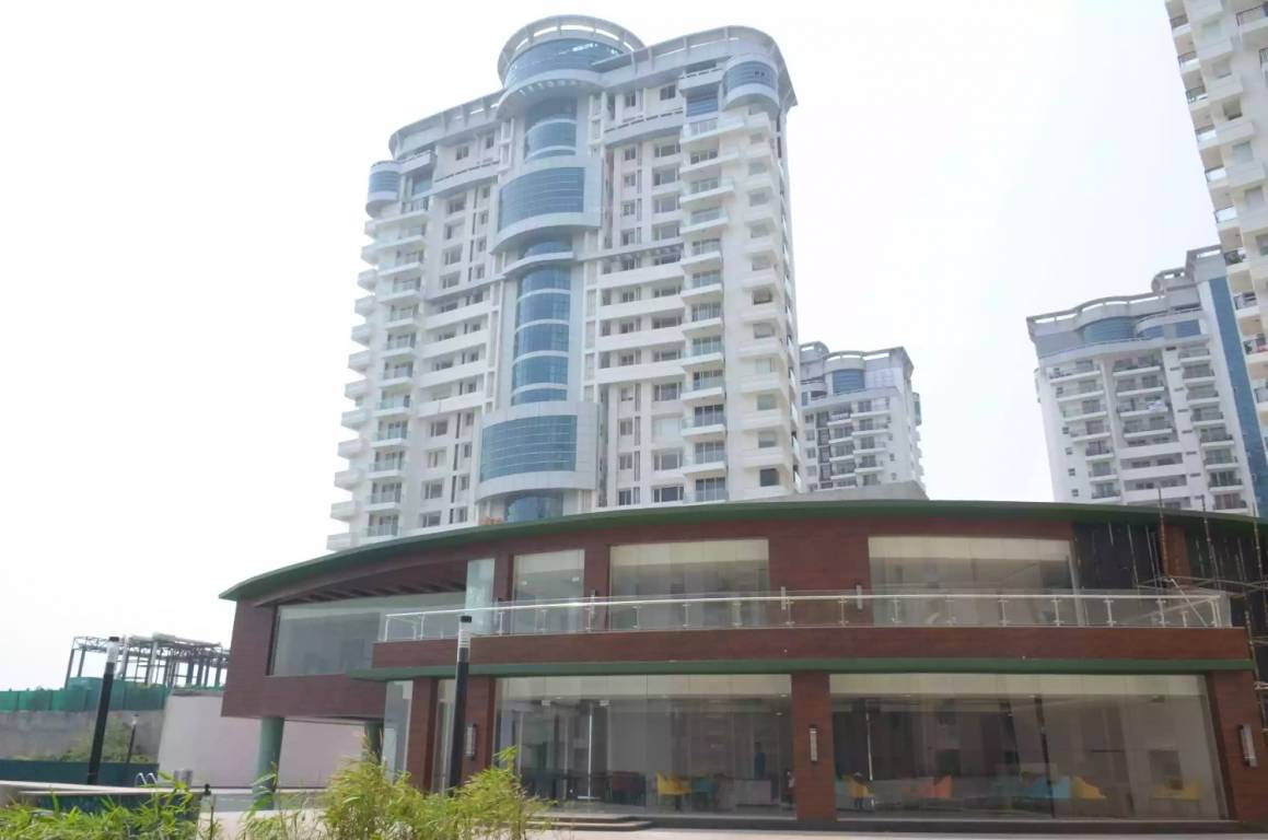  the forest spa Images for Project