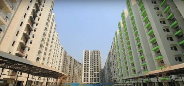 Elevation officer-city Elevation