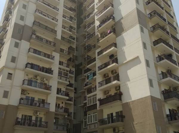  orchid Images for Project