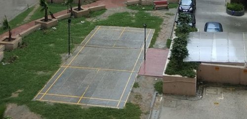  orchid Badminton Court