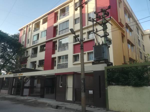  sunflower Images for Project