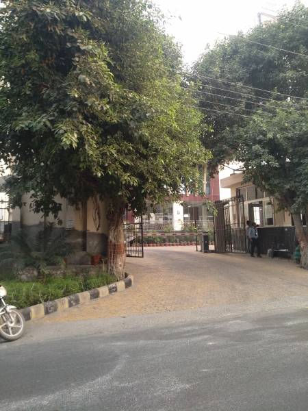 Internal Roads nature Internal Roads