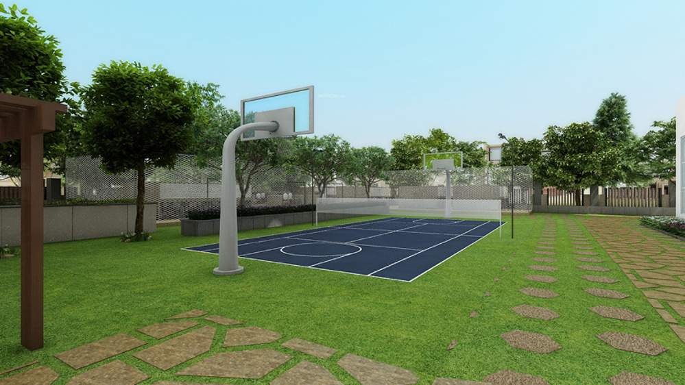 blossom Basketball Court