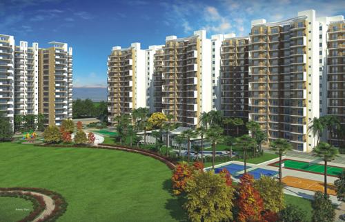  rosewood Images for Elevation of Avalon Rosewood