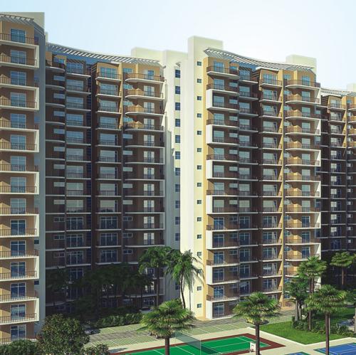 Images for Elevation of Avalon Rosewood rosewood Images for Elevation of Avalon Rosewood