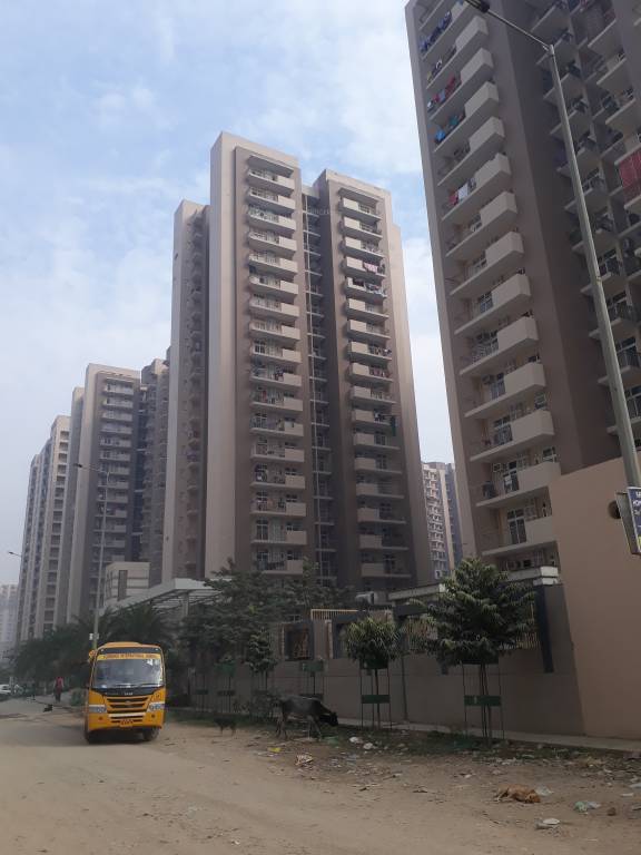 arden Images for Project