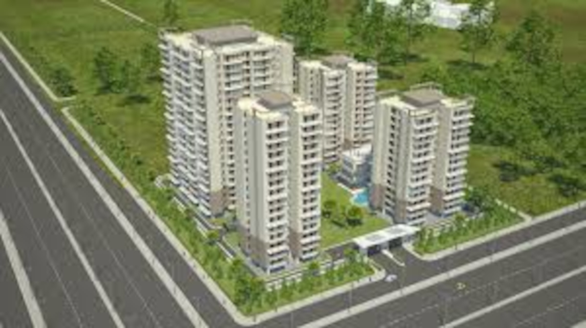  the urban young Elevation