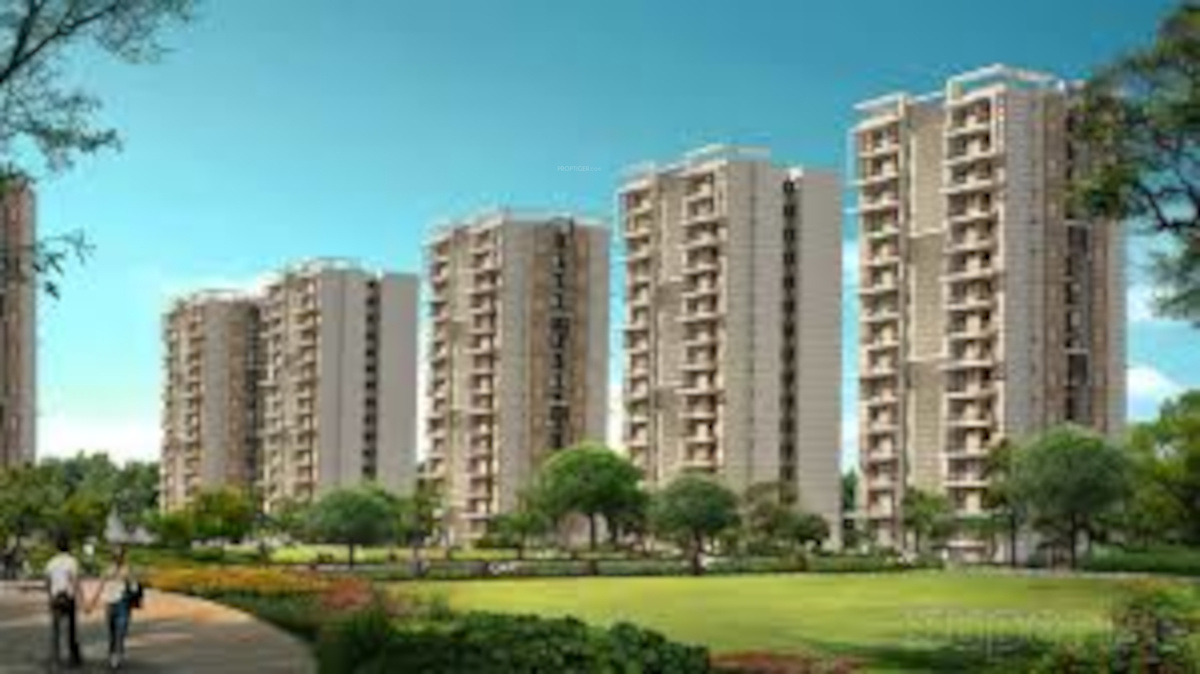  the urban young Elevation