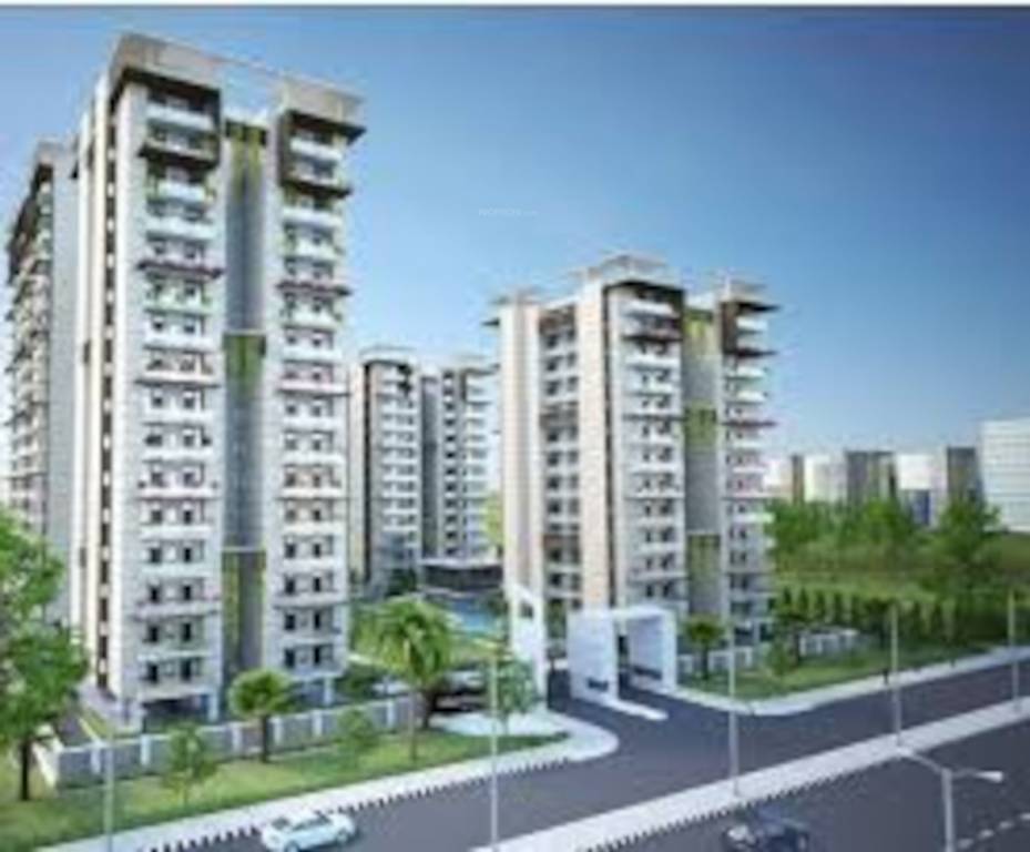  the urban young Elevation