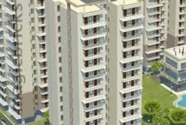  the-urban-young Elevation