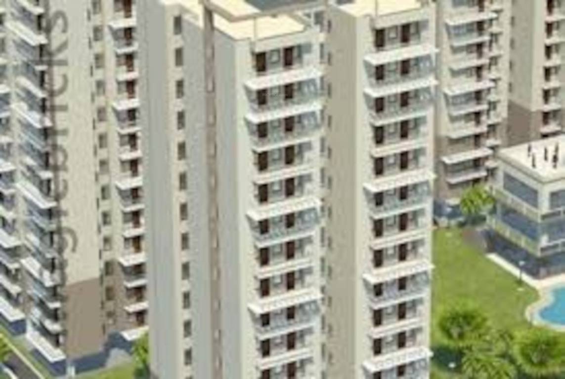  the urban young Elevation