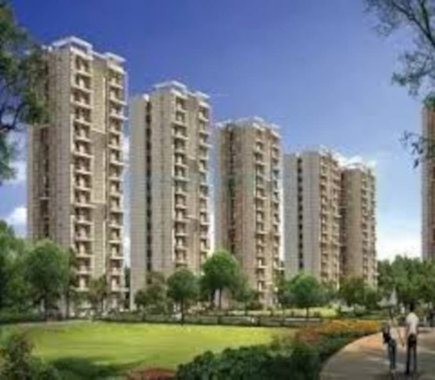  the urban young Elevation