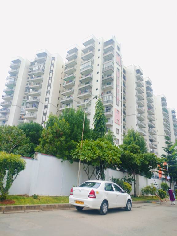  lifestyle amadeus Elevation