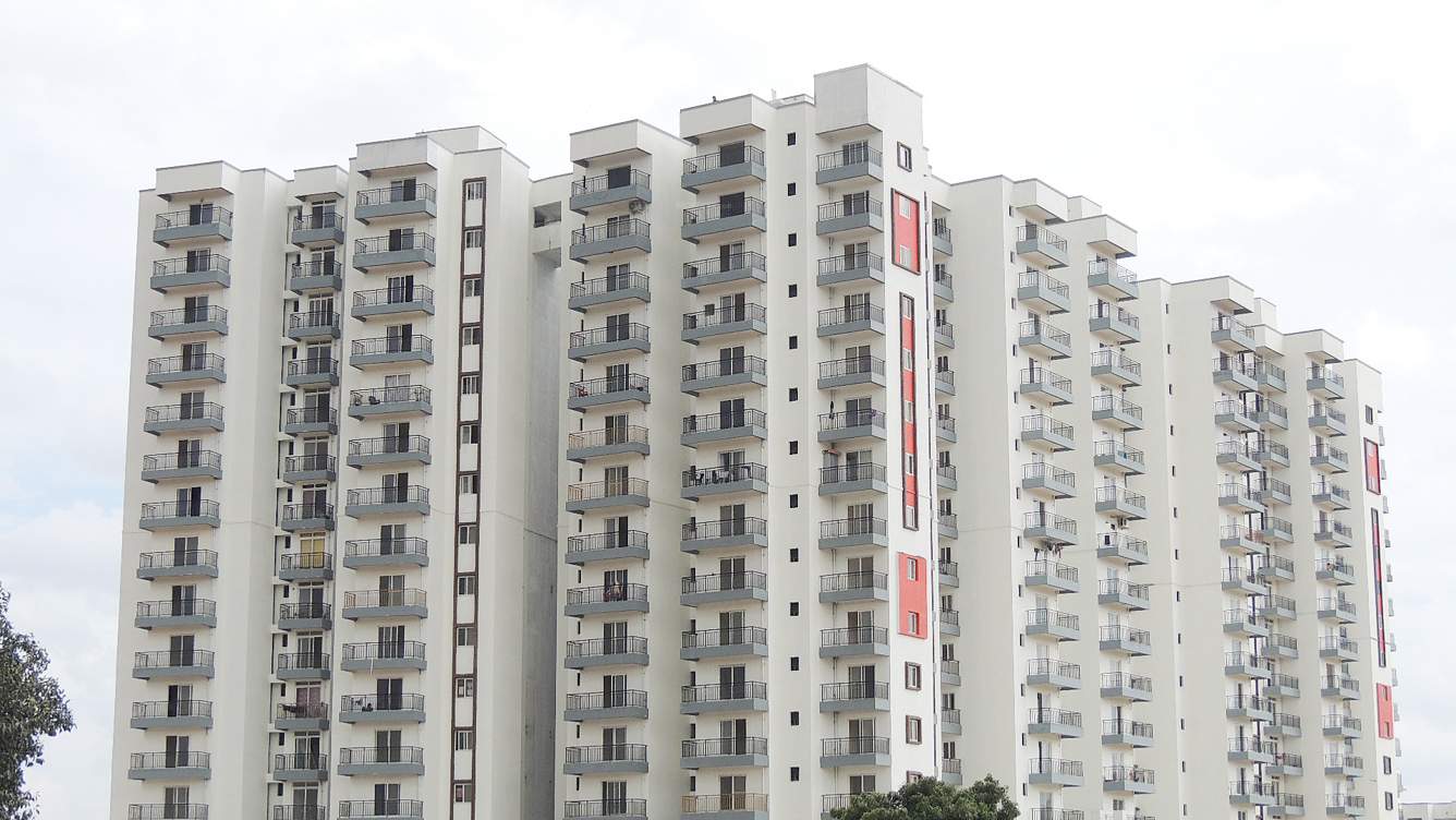  lifestyle amadeus Images for Elevation of MJ Lifestyle Amadeus