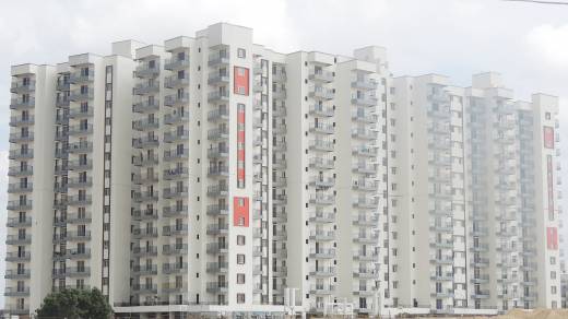 Images for Elevation of MJ Lifestyle Amadeus