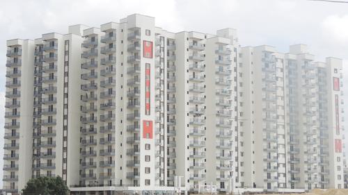  lifestyle-amadeus Images for Elevation of MJ Lifestyle Amadeus