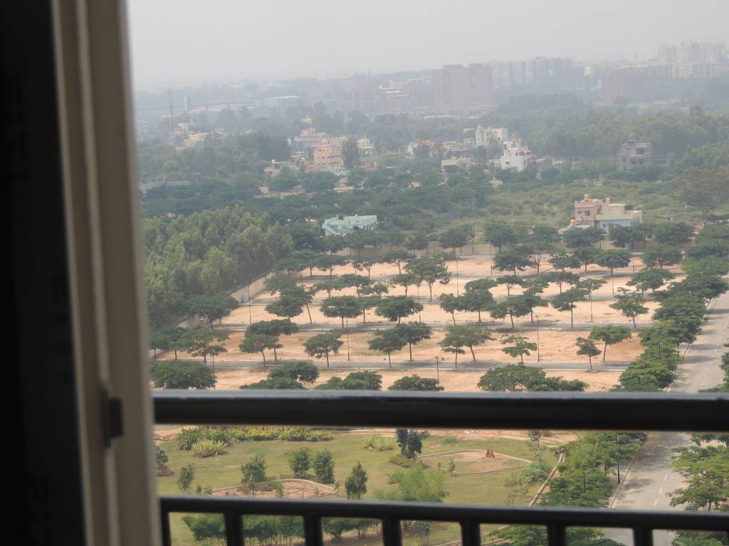 Images for Main Other of MJ Lifestyle Amadeus