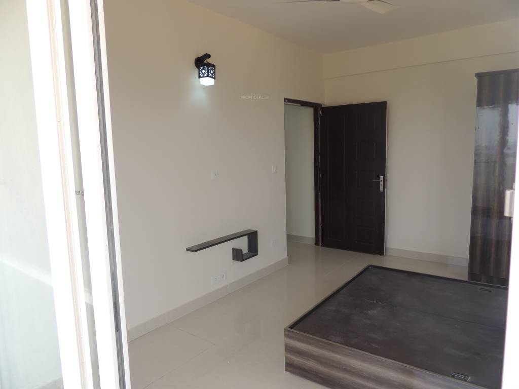 Images for Main Other of MJ Lifestyle Amadeus