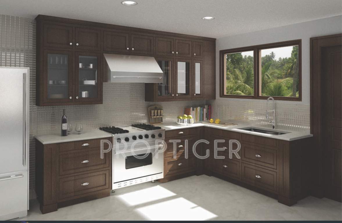  lifestyle amadeus Images for Main Other of MJ Lifestyle Amadeus