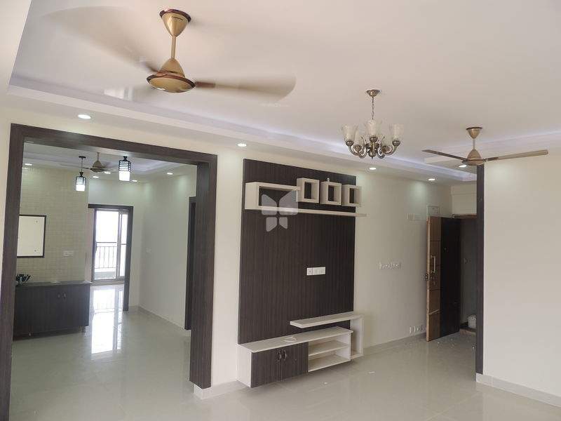 Images for Main Other of MJ Lifestyle Amadeus