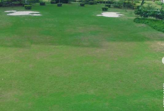  greenburg Golf Course