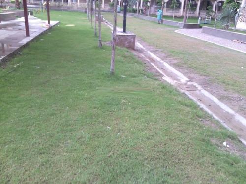 Landscape Garden and Tree Planting nri-residency Landscape Garden and Tree Planting