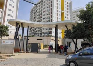 Project Image Project Image