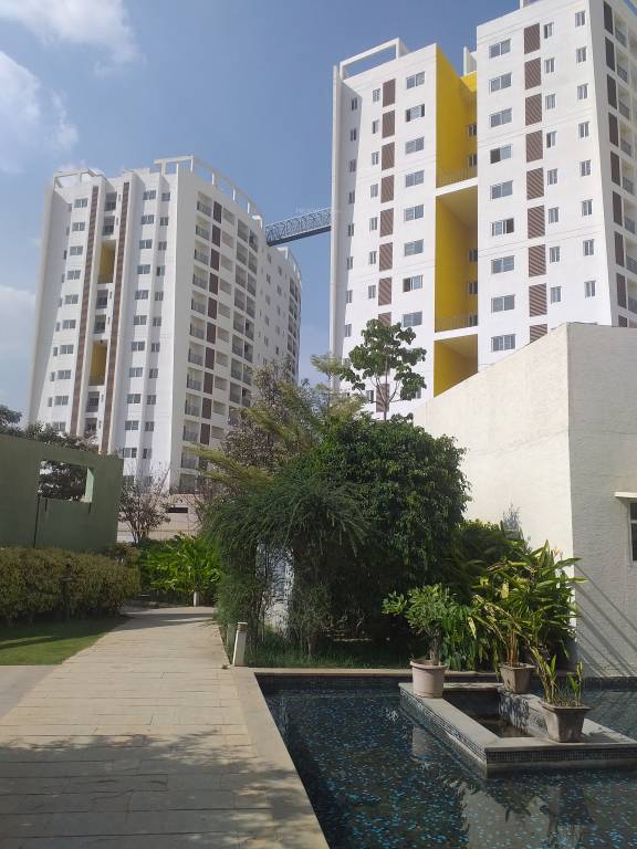  mirabilis Images for Project