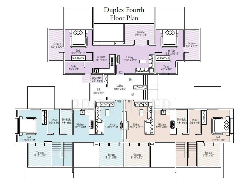 Images for Cluster Plan of Taneshq Lemon Blossom