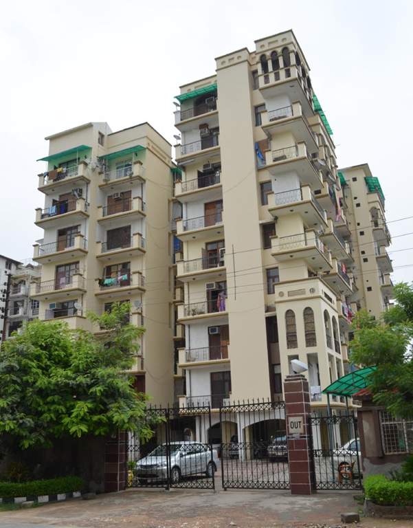 exotica Images for Elevation of Amrapali Exotica