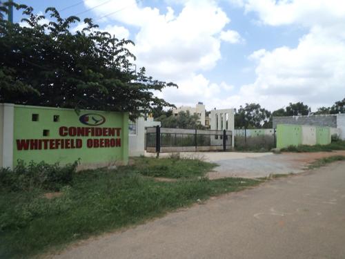  oberon Images for Elevation of Confident Oberon