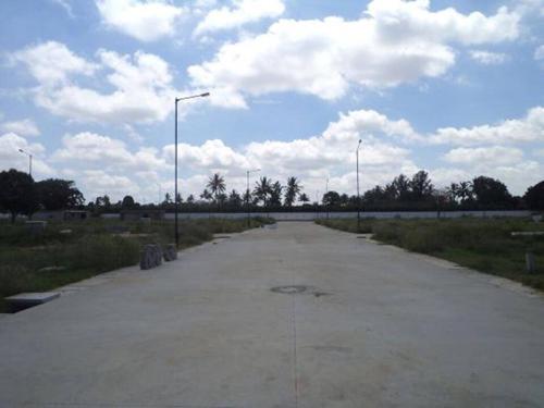  gardenia Images for Elevation of Confident Gardenia