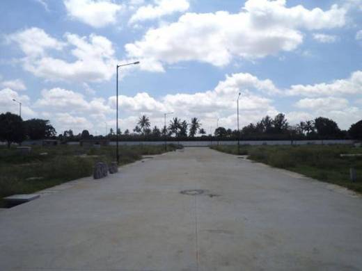 gardenia Images for Elevation of Confident Gardenia Images for Elevation of Confident Gardenia