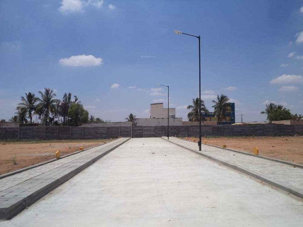  gardenia Images for Main Other of Confident Gardenia