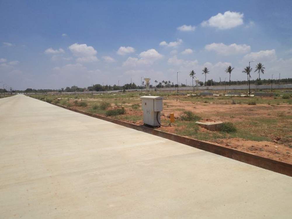  gardenia Images for Main Other of Confident Gardenia