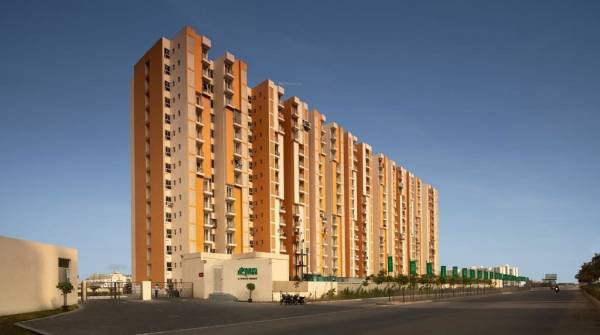  uchdpl-dream-homes Elevation