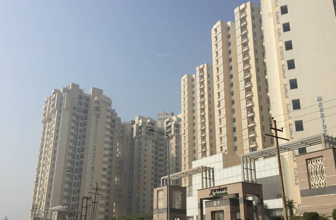 xaviers Images for Project