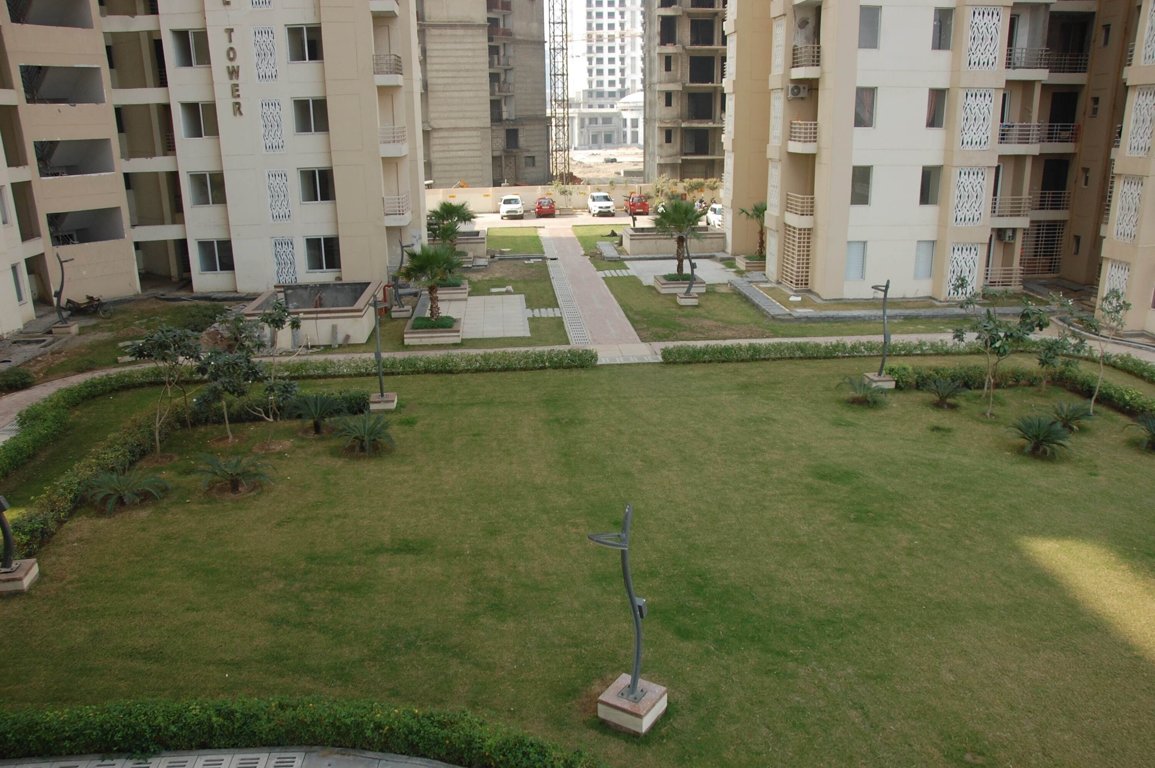 xaviers Landscape Garden and Tree Planting