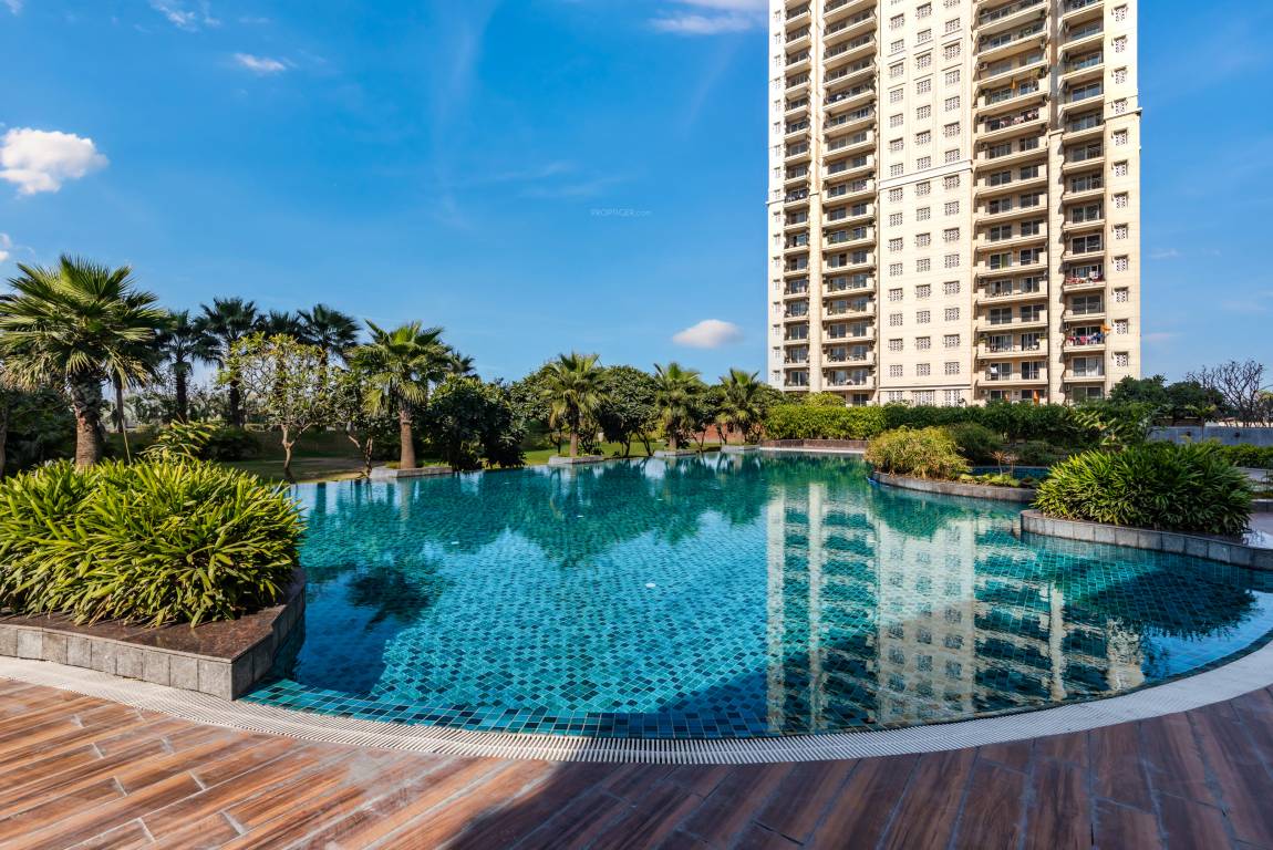  tourmaline Swimming Pool