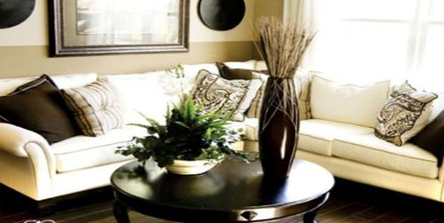  the-florus Images for Main Other of Apex The Florus