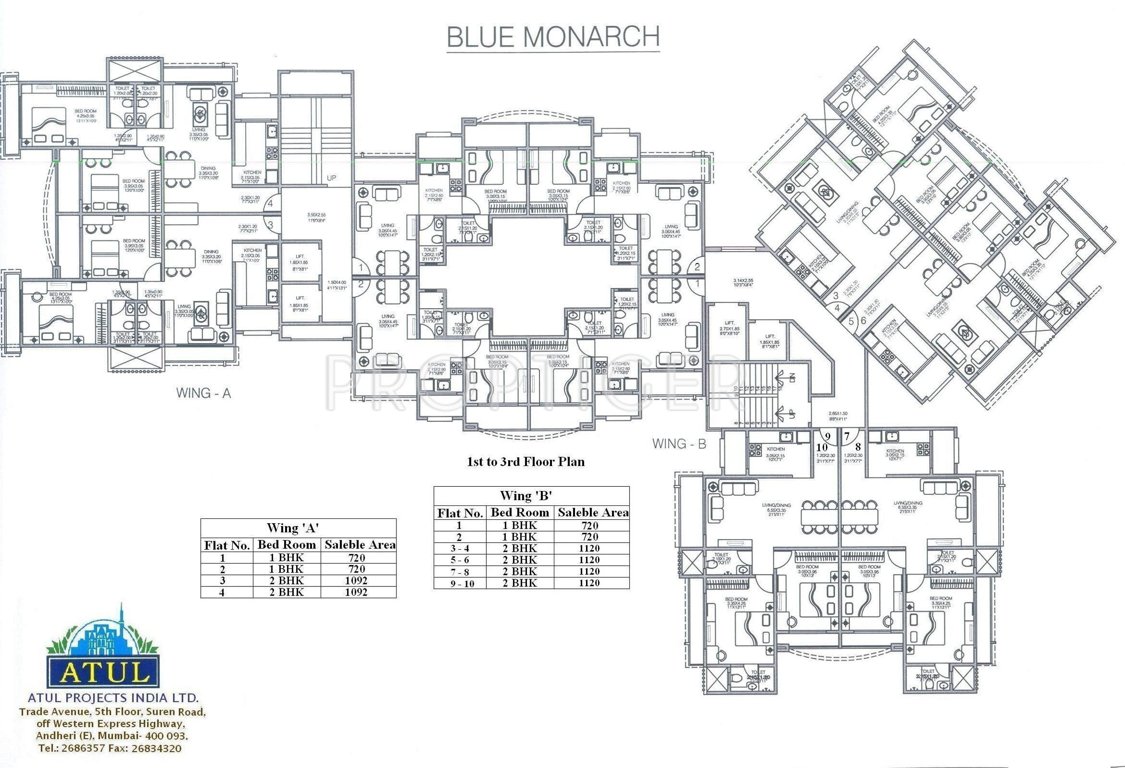  blue monarch Wing A Cluster Plan