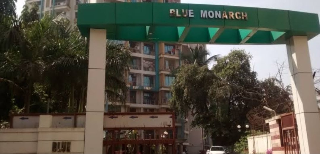  blue monarch Elevation