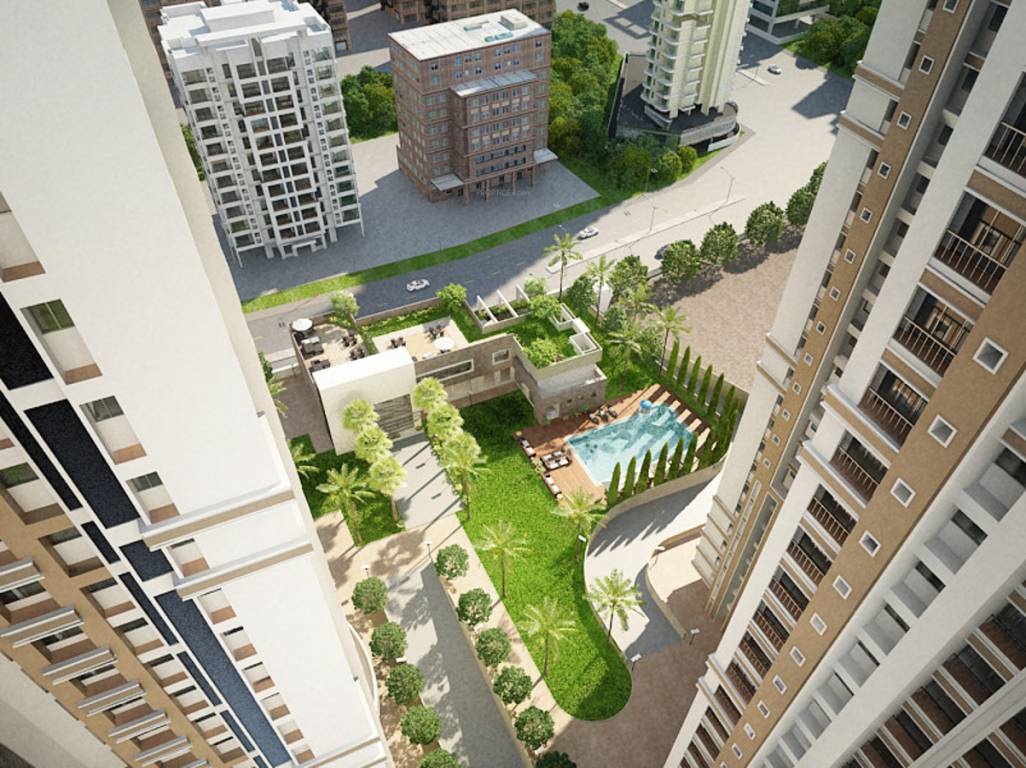 Images for Elevation of Velocity Hill Spring