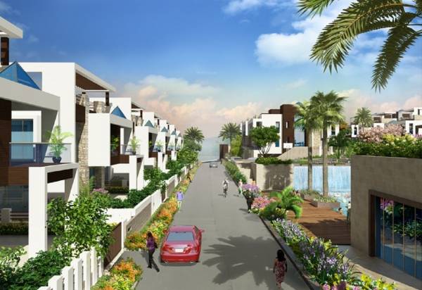  willows Internal Roads