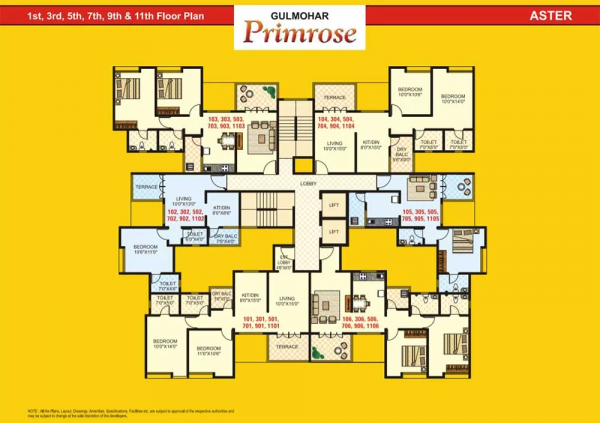  primrose Aster Cluster Plan