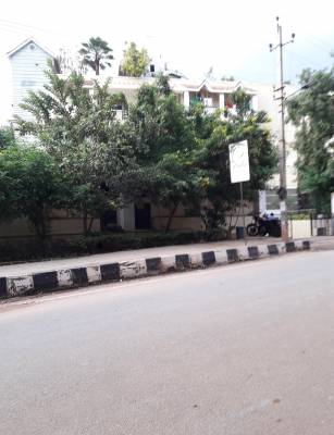  elysium Internal Roads