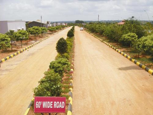 Images for Amenities of Fortune Clouds Park