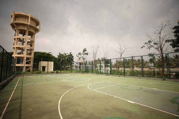  long-island Cricket Pitch