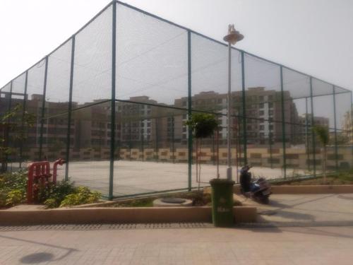 Basketball Court dynasty Basketball Court